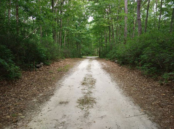 10 2 Anh Chup Tu Xiaomi Mi4 Didonghathanh Dep 99