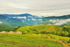 Tintuc Newparadise 02