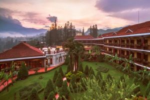 Tintuc Newparadise 05