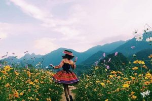 Tintuc Newparadise 07